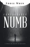 Comfortably Numb