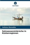 Salzwassereinbrüche in Küstenregionen