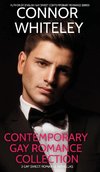 Contemporary Gay Romance Collection