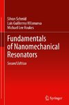 Fundamentals of Nanomechanical Resonators