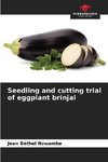 Seedling and cutting trial of eggplant brinjal