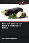 Prova di semina e di talea di melanzana brinjal