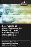 Le proteine di disaccoppiamento, l'interfaccia tra bioenergetica e metabolismo