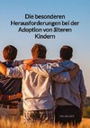 Die besonderen Herausforderungen bei der Adoption von älteren Kindern