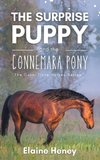 The Surprise Puppy and the Connemara Pony - The Coral Cove Horses Series