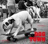 Dog Town