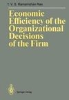 Economic Efficiency of the Organizational Decisions of the Firm