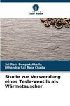 Studie zur Verwendung eines Tesla-Ventils als Wärmetauscher