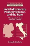 Social Movements, Political Violence, and the State