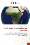 Petit essai pour les jeunes africains