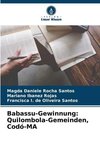 Babassu-Gewinnung: Quilombola-Gemeinden, Codó-MA