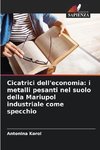 Cicatrici dell'economia: i metalli pesanti nel suolo della Mariupol industriale come specchio