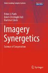 Imagery Synergetics