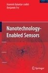 Nanotechnology-Enabled Sensors