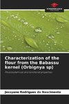 Characterization of the flour from the Babassu kernel (Orbignya sp)