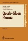 Quark-Gluon Plasma