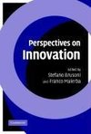 Perspectives on Innovation