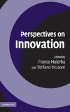 Perspectives on Innovation