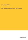 Des céréales en Italie sous les Romains