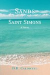 Sands of Saint Simons