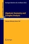 Algebraic Geometry and Complex Analysis