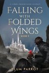 Falling with Folded Wings 3