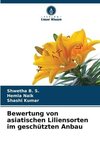 Bewertung von asiatischen Liliensorten im geschützten Anbau