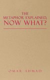 The Metaphor Explained, Now What?