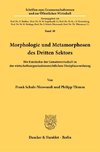 Morphologie und Metamorphosen des Dritten Sektors.