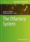 The Olfactory System