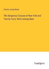 The Dangerous Classes of New York and Twenty Years' Work Among them