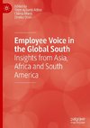 Employee Voice in the Global South