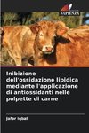 Inibizione dell'ossidazione lipidica mediante l'applicazione di antiossidanti nelle polpette di carne