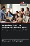 Organizzazioni che vivono sull'orlo del caos