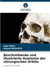 Beschreibende und illustrierte Anatomie der chirurgischen Orbita