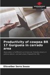 Productivity of cowpea BR 17 Gurgueia in cerrado area