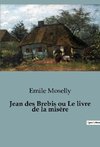 Jean des Brebis ou Le livre de la misère