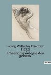 Phaenomenologie des geistes