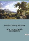 A la recherche de Livingstone