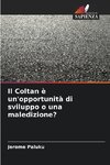 Il Coltan è un'opportunità di sviluppo o una maledizione?