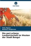 Die peri-urbane Landwirtschaft im Westen der Stadt Bangui