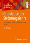 Grundzüge der Strömungslehre