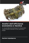 Analisi dell'efficienza economica e tecnica