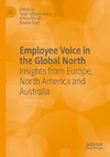 Employee Voice in the Global North