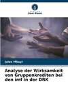 Analyse der Wirksamkeit von Gruppenkrediten bei den imf in der DRK