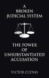 A Broken Judicial System  the Power of Unsubstantiated Accusation