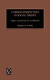 Current Perspectives in Social Theory, Volume 16