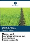 Masse- und Energiegewinnung aus Reisstroh als Biomassequelle