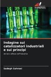 Indagine sui catalizzatori industriali e sui principi