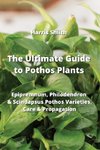The Ultimate Guide to Pothos Plants